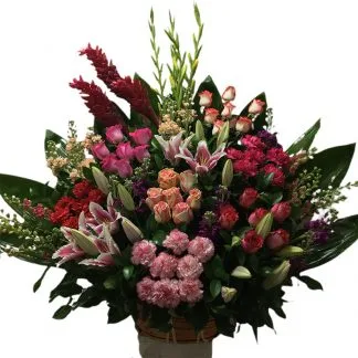 Tropical Arrangement