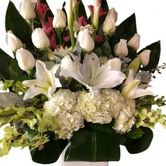 White Rose Dozen Arrangement