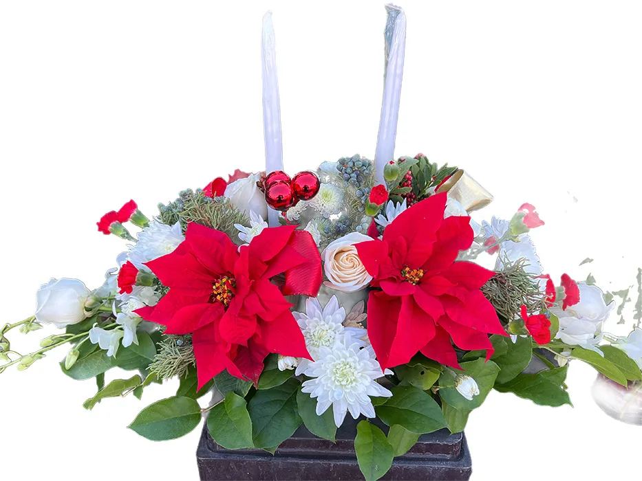 Poinsettia Centerpiece
