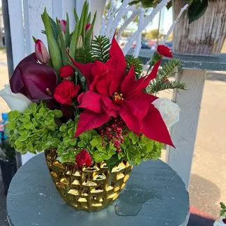 Poinsettia Posy